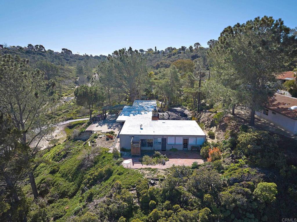 1234 Oribia Road Del Mar, CA 92014 - Photo 20 of 22 a view of a lush green forest with a house