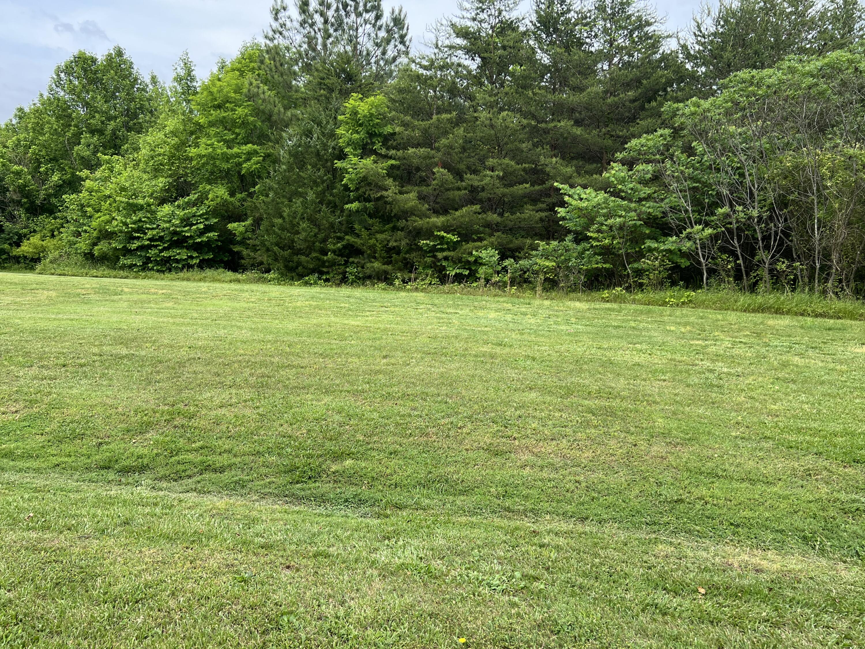Lot 5 Truevine Road Rocky Mount, VA 24151 - Photo 2 of 14 a view of a field with trees in the background
