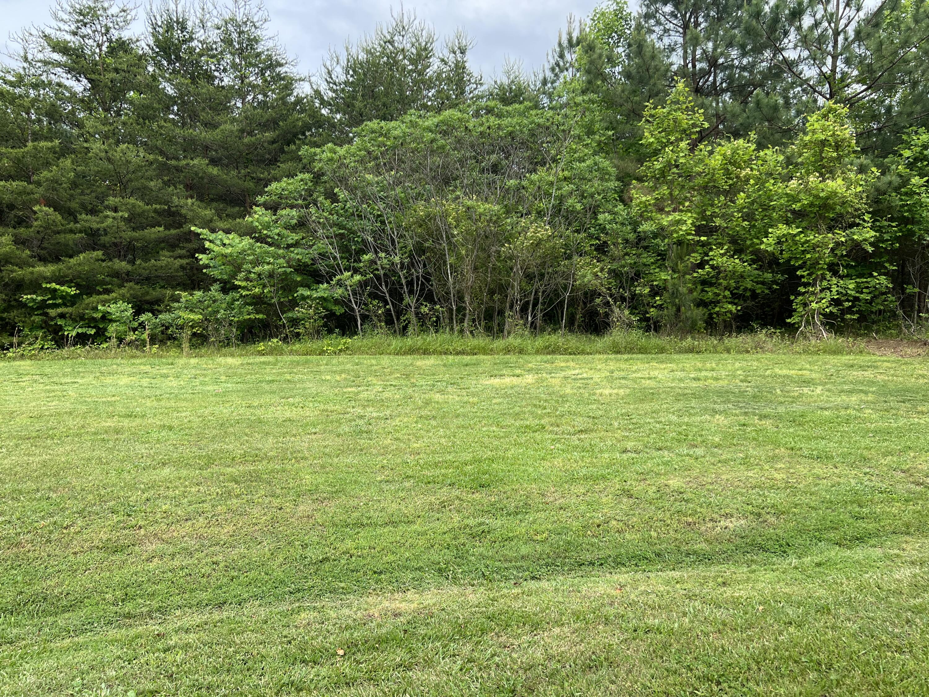 Lot 5 Truevine Road Rocky Mount, VA 24151 - Photo 3 of 14 a view of a grassy field with trees