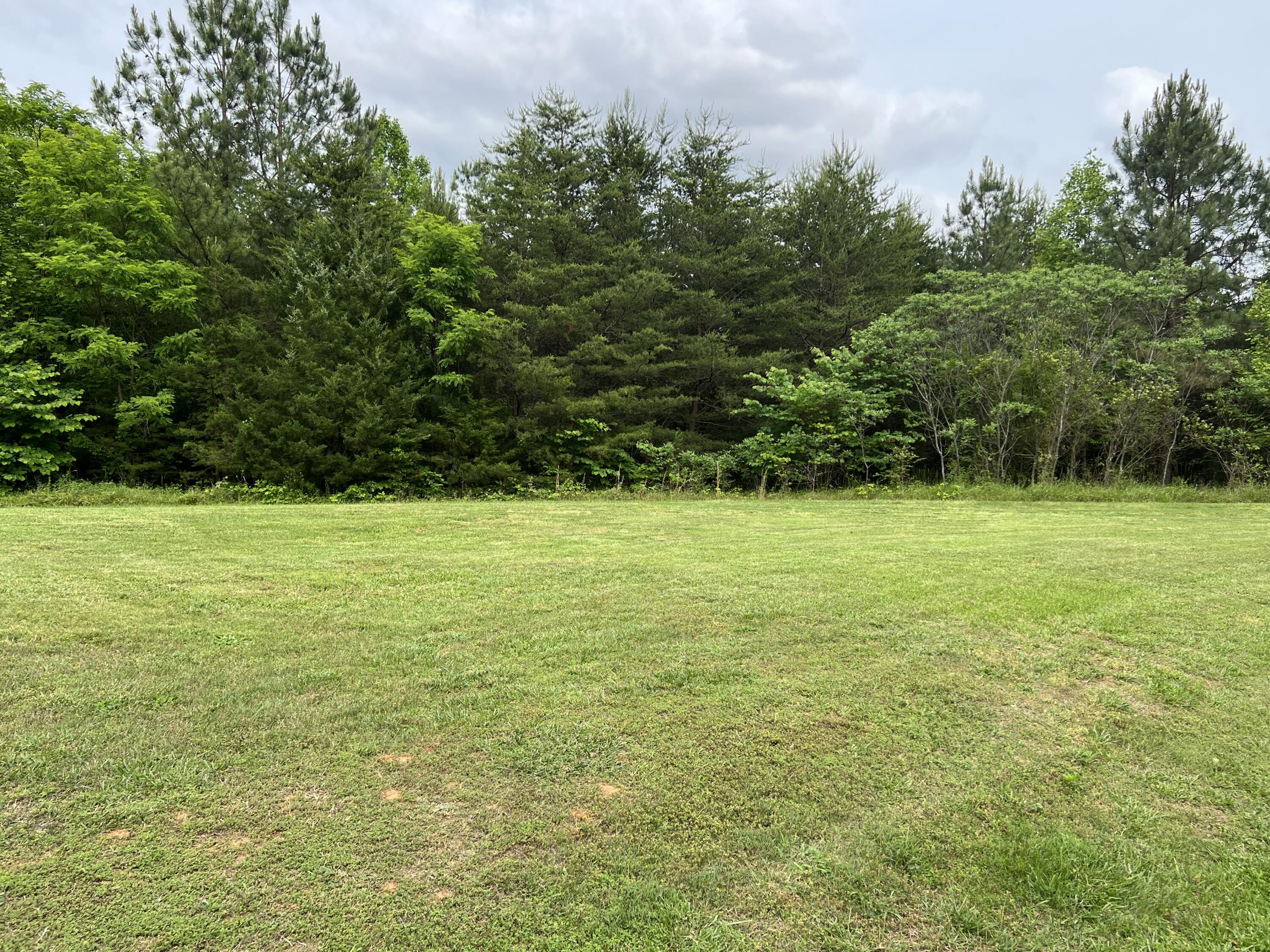 Lot 5 Truevine Road Rocky Mount, VA 24151 - Photo 4 of 14 a view of a green field