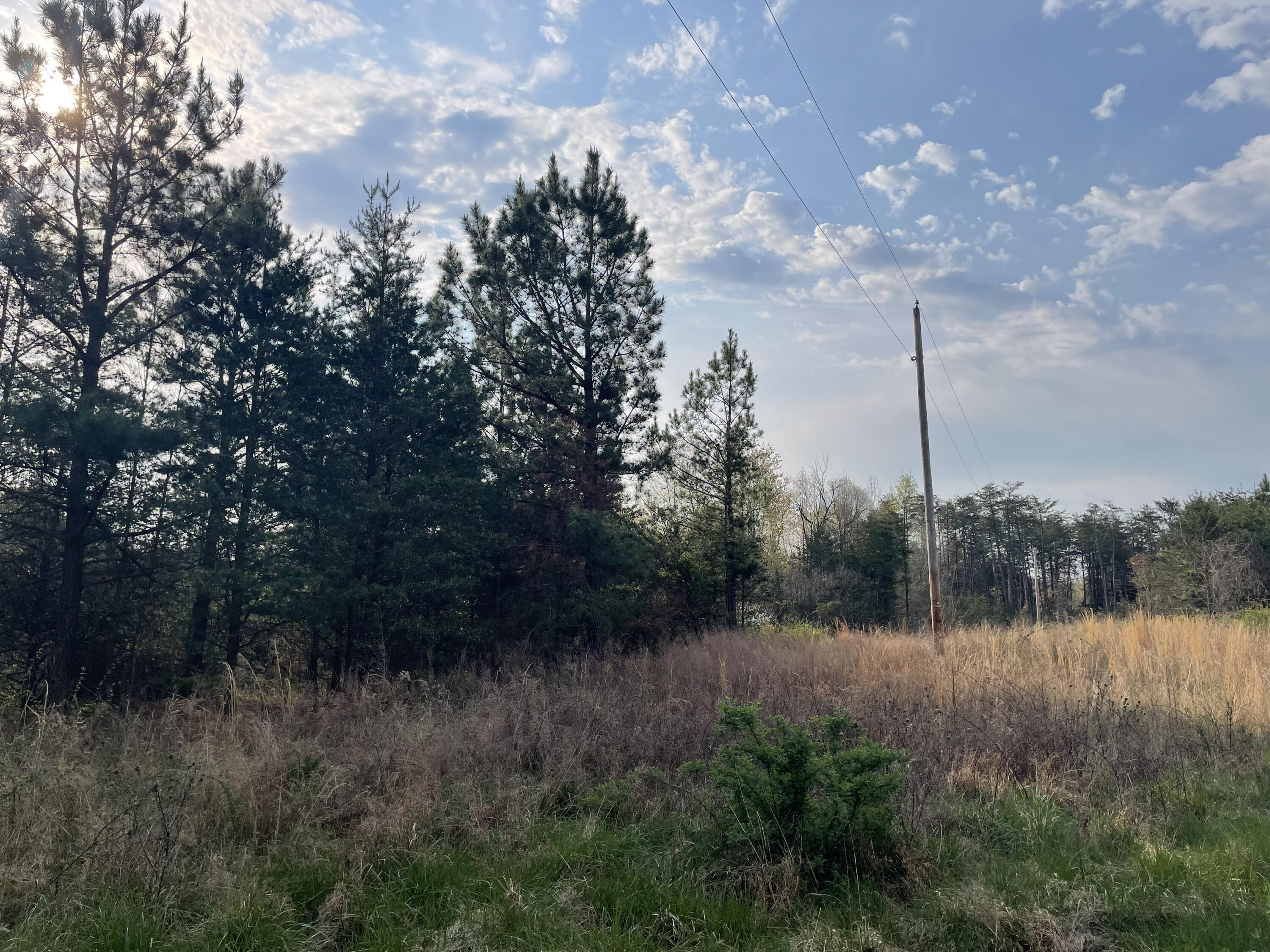 Lot 5 Truevine Road Rocky Mount, VA 24151 - Photo 5 of 14 a view of a yard