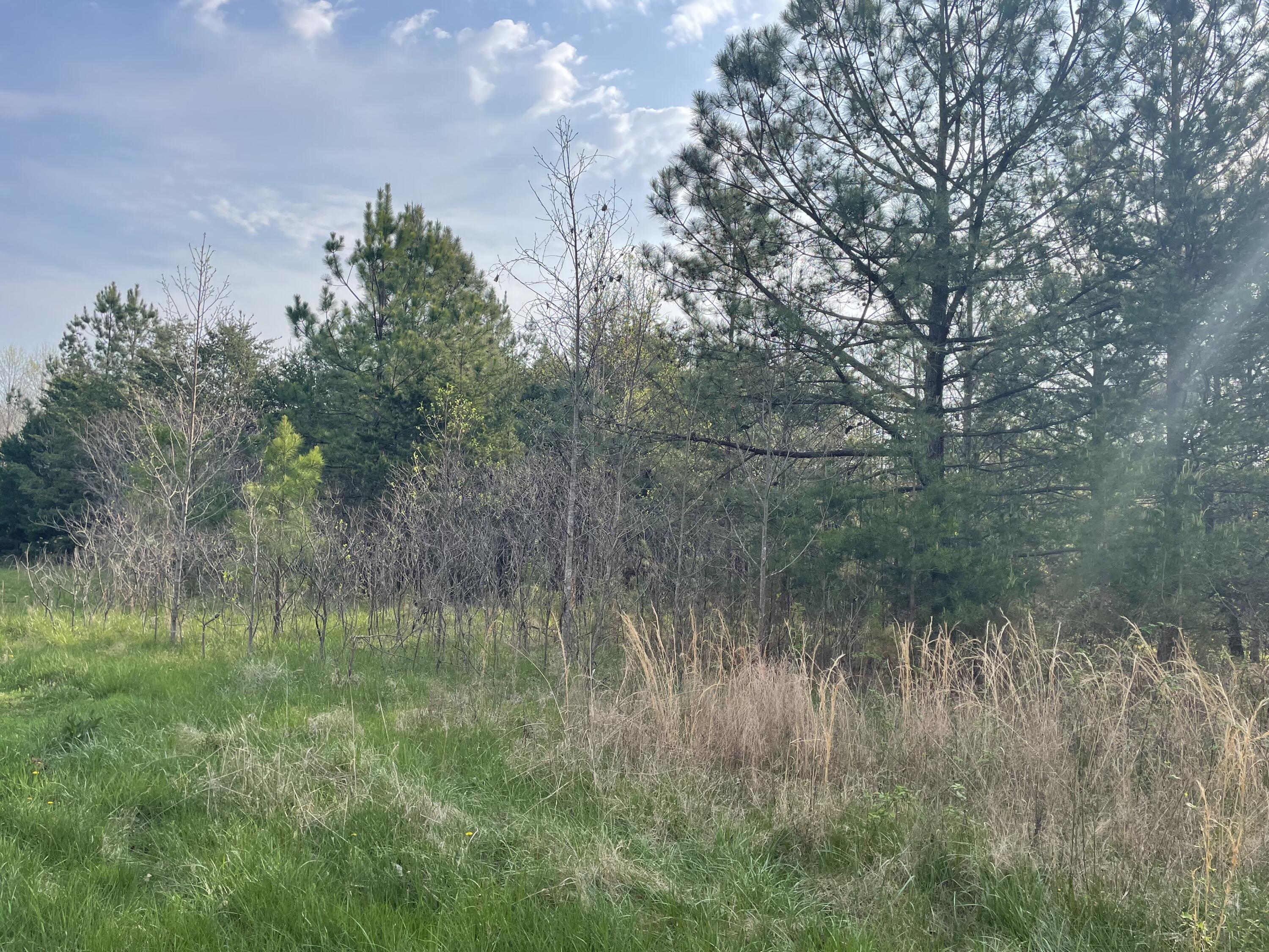 Lot 5 Truevine Road Rocky Mount, VA 24151 - Photo 7 of 14 a view of a lush green forest
