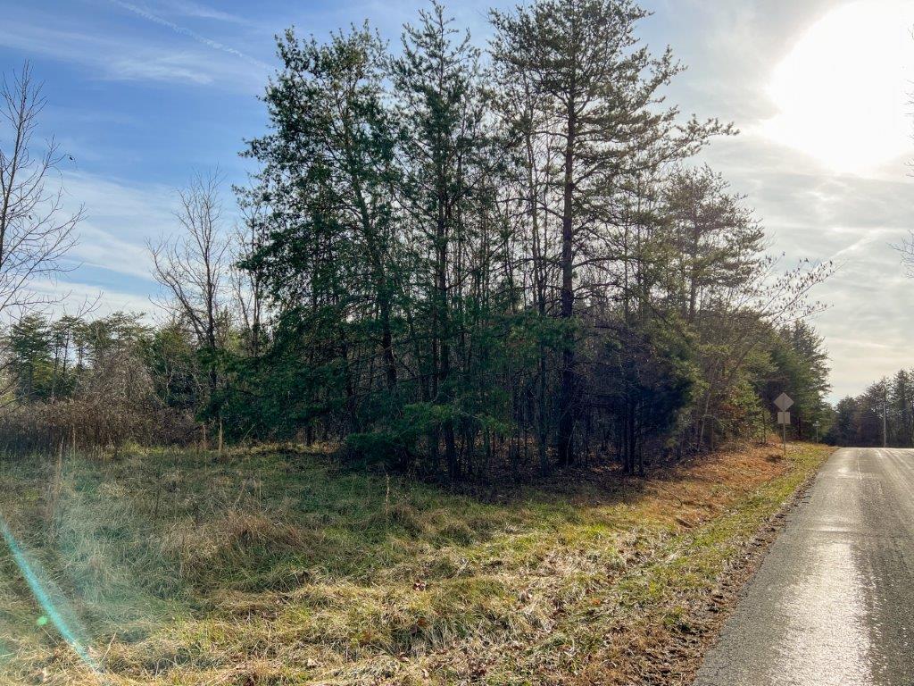 Lot 5 Truevine Road Rocky Mount, VA 24151 - Photo 8 of 14 a view of backyard with green space