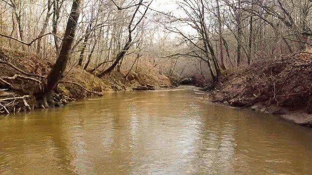 Lot 5 Truevine Road Rocky Mount, VA 24151 - Photo 10 of 14 a view of an ocean with trees