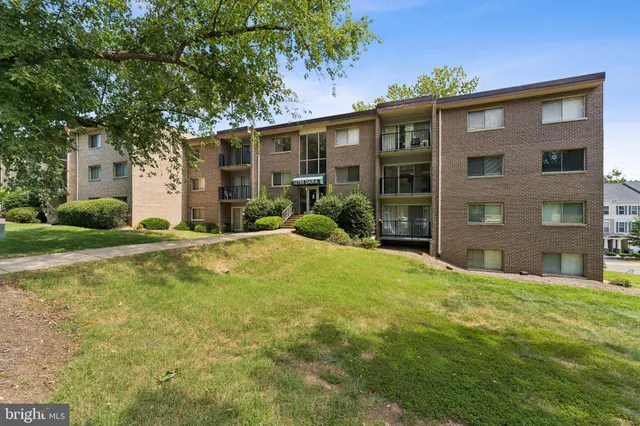 a view of a house with a yard and large tree