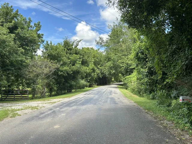 a view of a yard with an trees