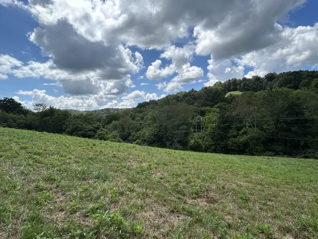 a view of outdoor space and yard