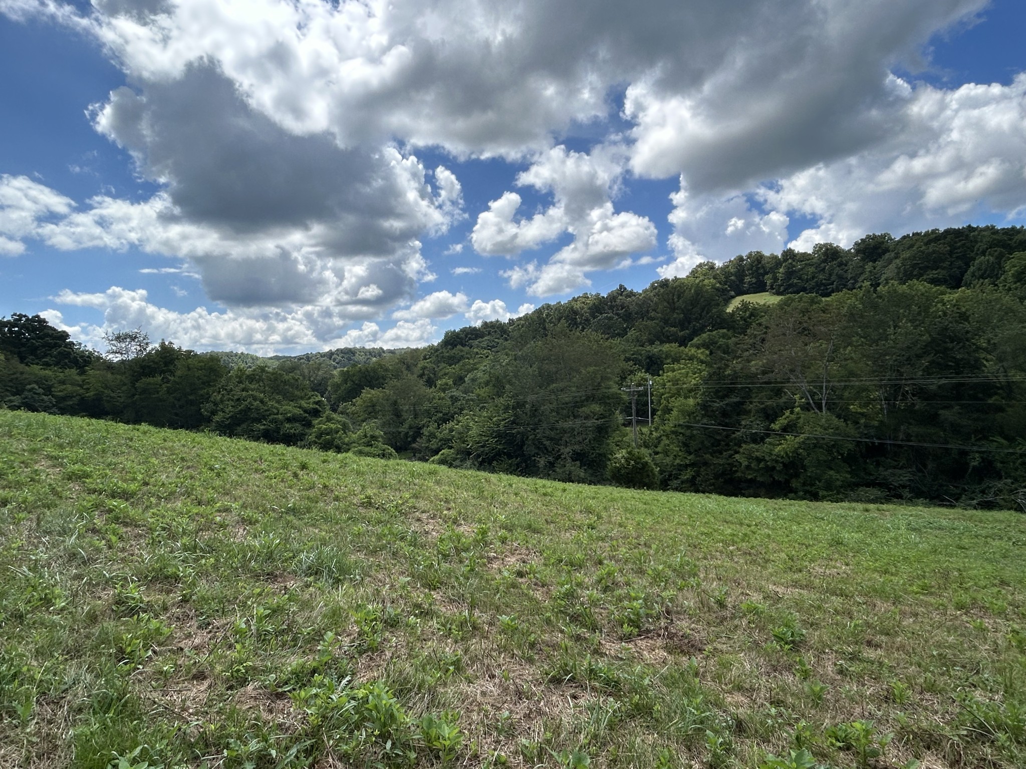 1 Chicken Creek Road Pulaski, TN 38478 - Photo 3 of 13 a view of outdoor space and yard