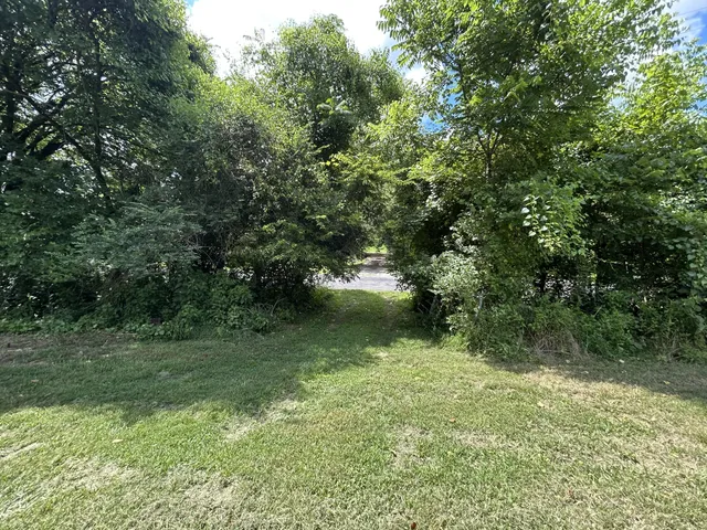 a view of a green yard