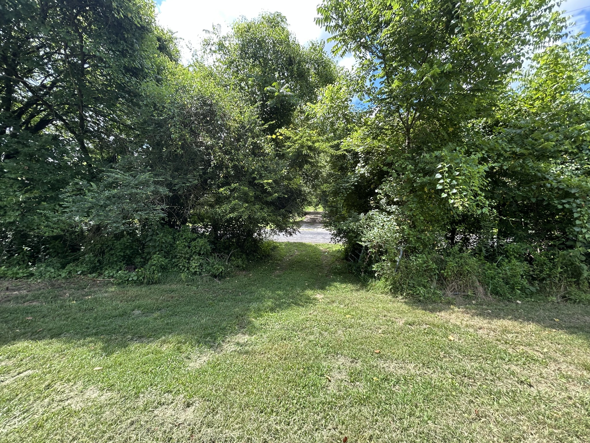 1 Chicken Creek Road Pulaski, TN 38478 - Photo 4 of 13 a view of a green yard