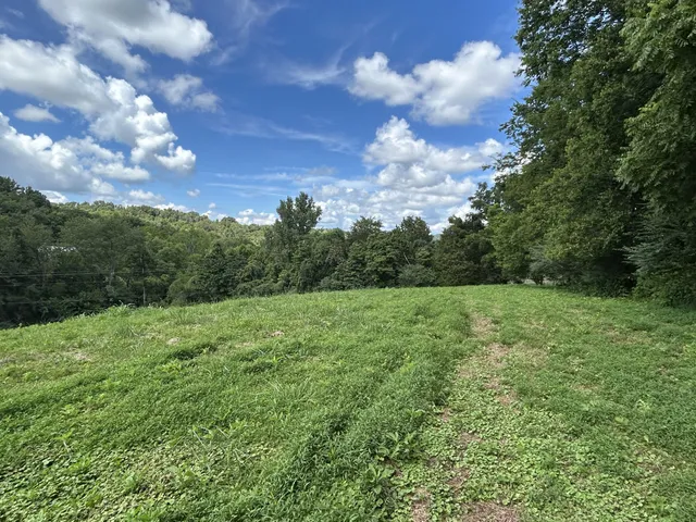 a view of a big yard with lots of green space