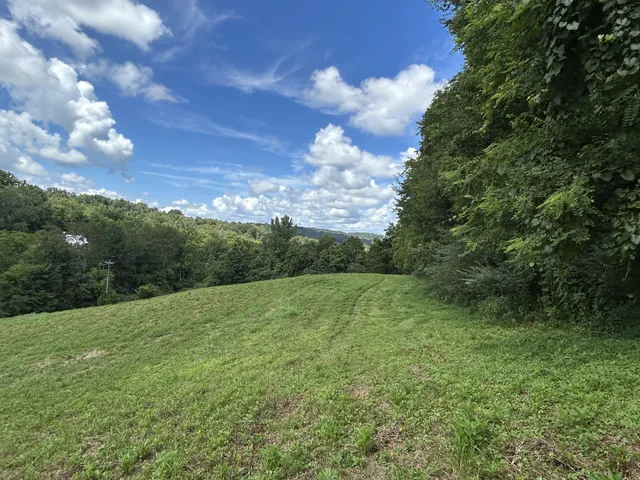 a view of a big yard with lots of green space