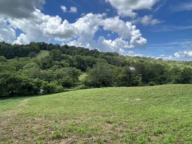 a view of an outdoor space and a yard