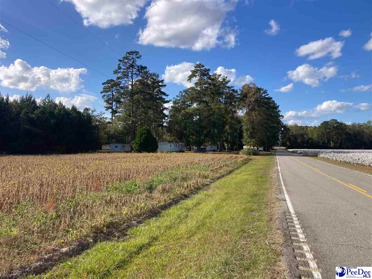 Old Hamer Road Hamer, SC 29547 - Photo 5 of 11 Gallery Image 5