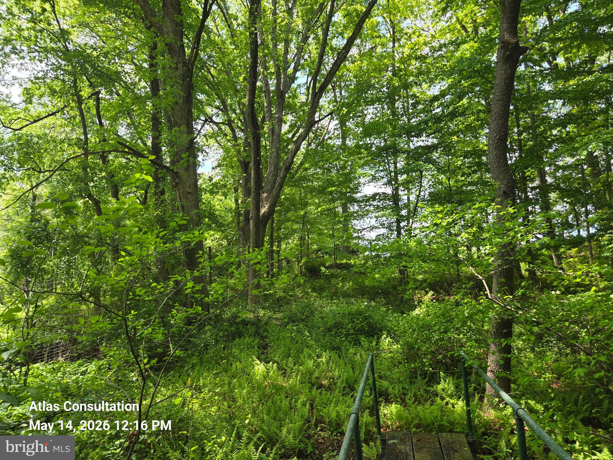 1475 Langhorne Yardley Road Langhorne, PA 19047 - Photo 11 of 15 Lush green forest path beckons exploration.