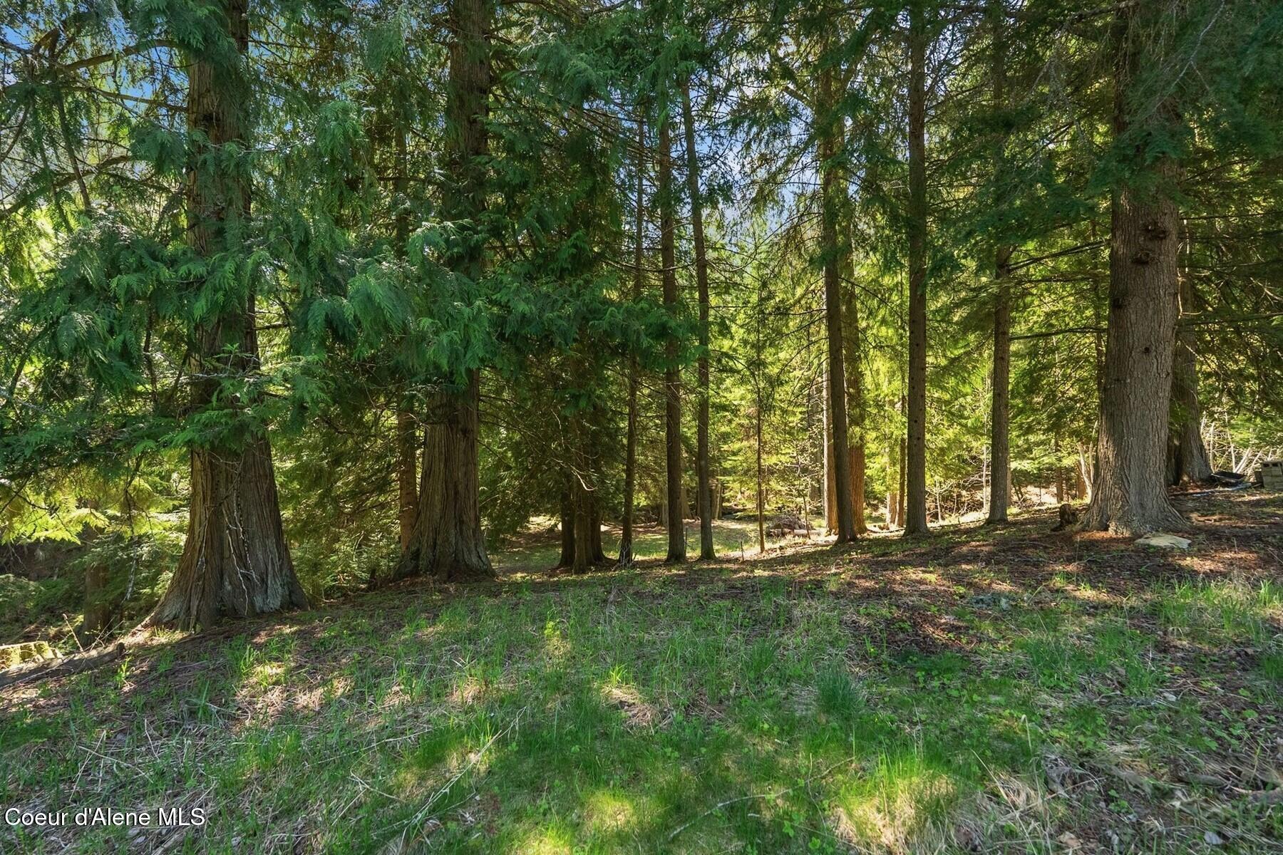 Nna Garfield Bay Road Sagle, ID 83860 - Photo 16 of 65 NNA Garfield Bay Road