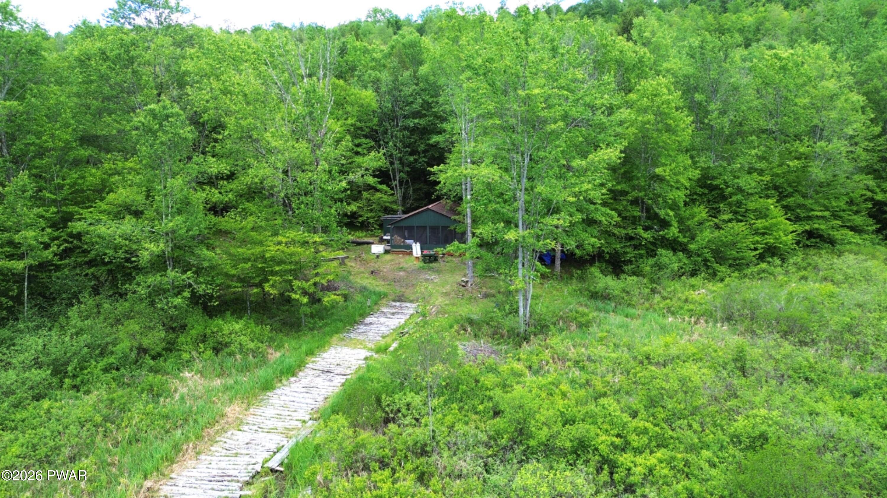 94 Swamp Road Pleasant Mount, PA 18453 - Photo 28 of 33 a lush green forest with lots of trees