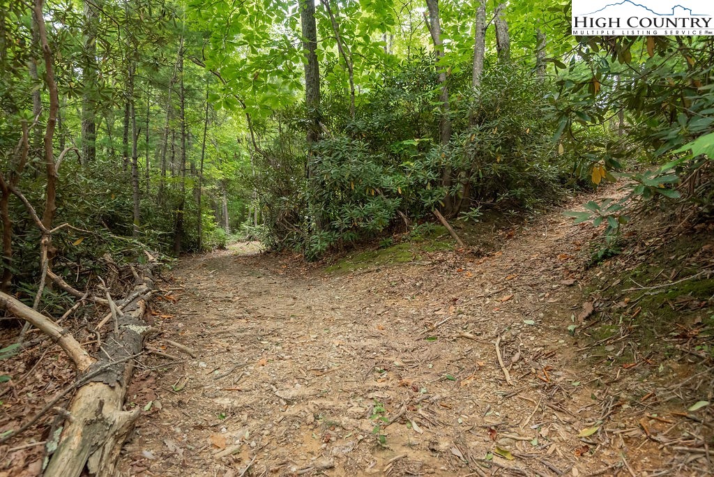 0 Jake's Mountain Road Boone, NC 28607 - Photo 3 of 12 Gallery Image 3