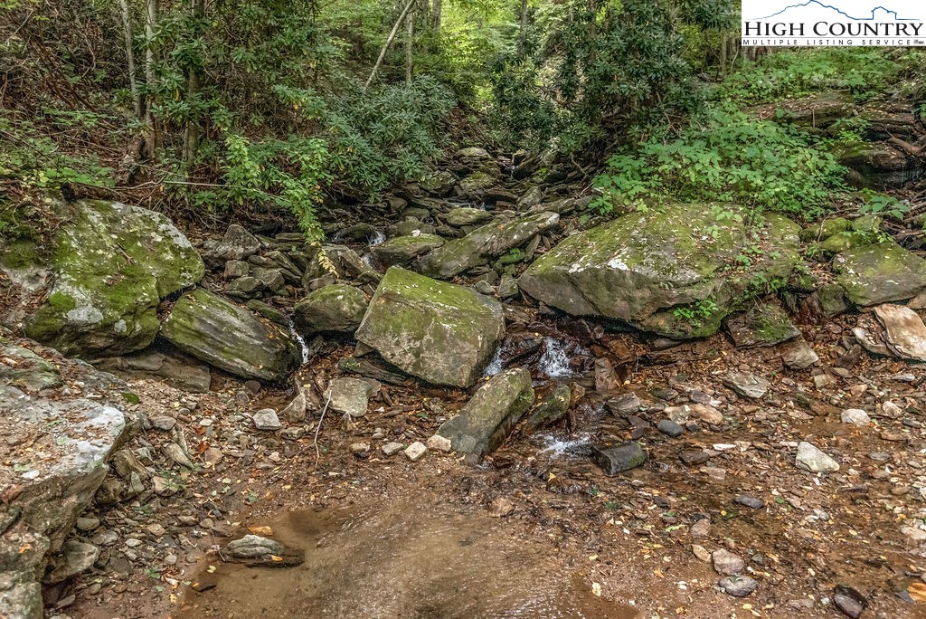0 Jake's Mountain Road Boone, NC 28607 - Photo 5 of 12 Gallery Image 5