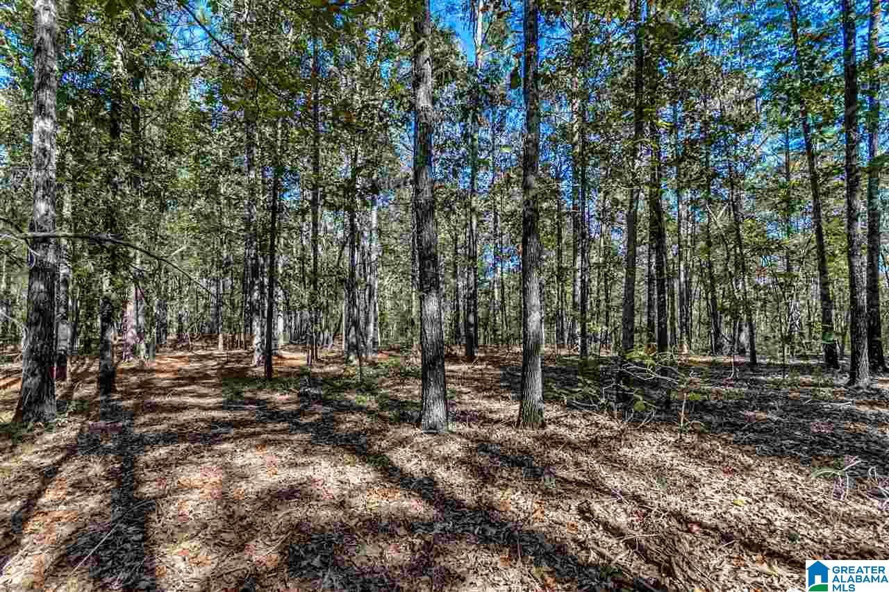384 Wolf Pond Road, Unit 1 Talladega, AL 35160 - Photo 13 of 26