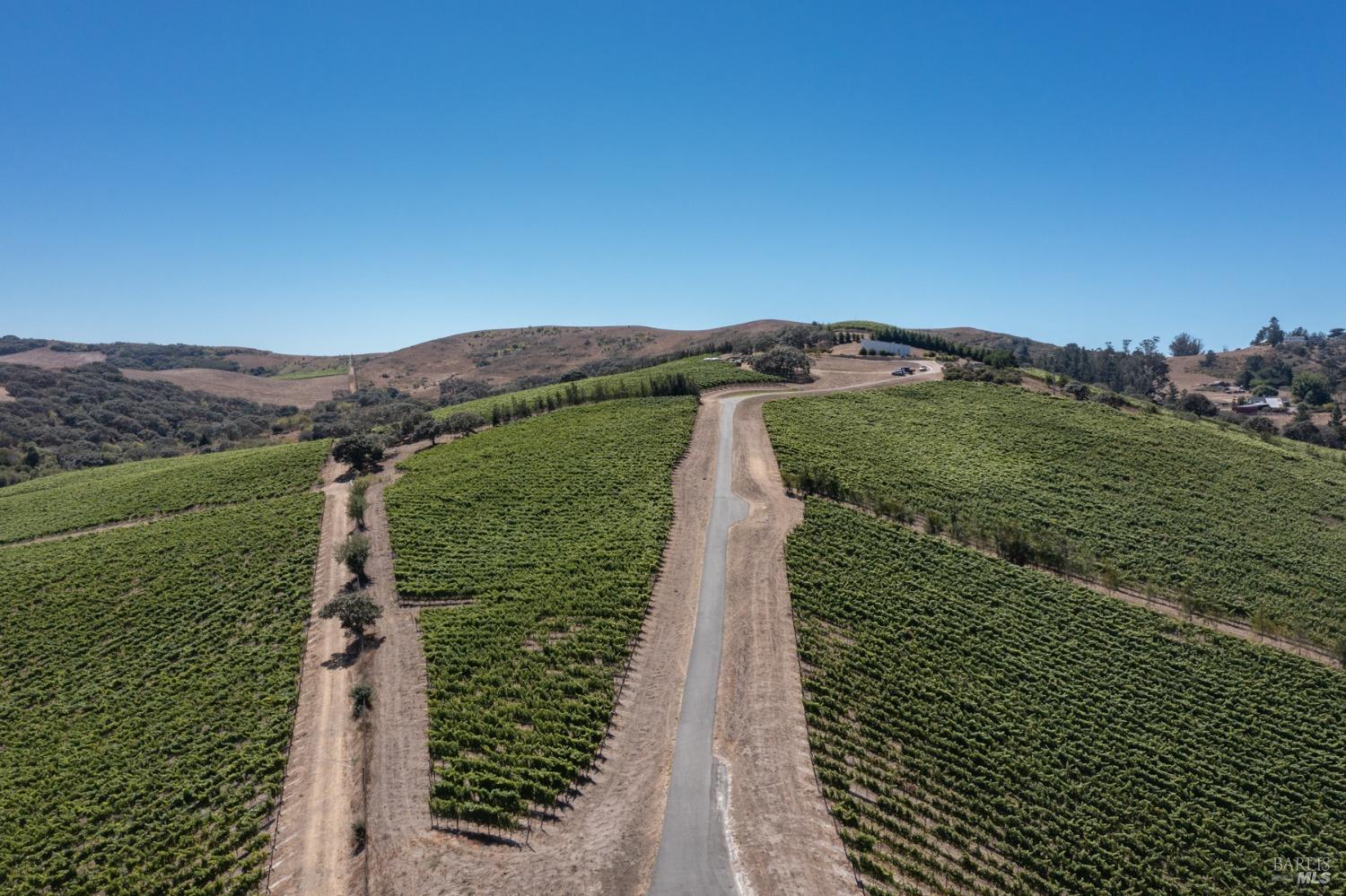 3545 Bloomfield Road Sebastopol, CA 95472 - Photo 9 of 28