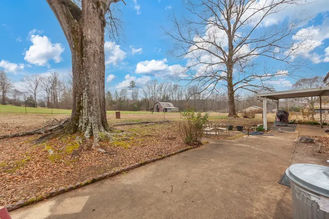 a view of yard with trees