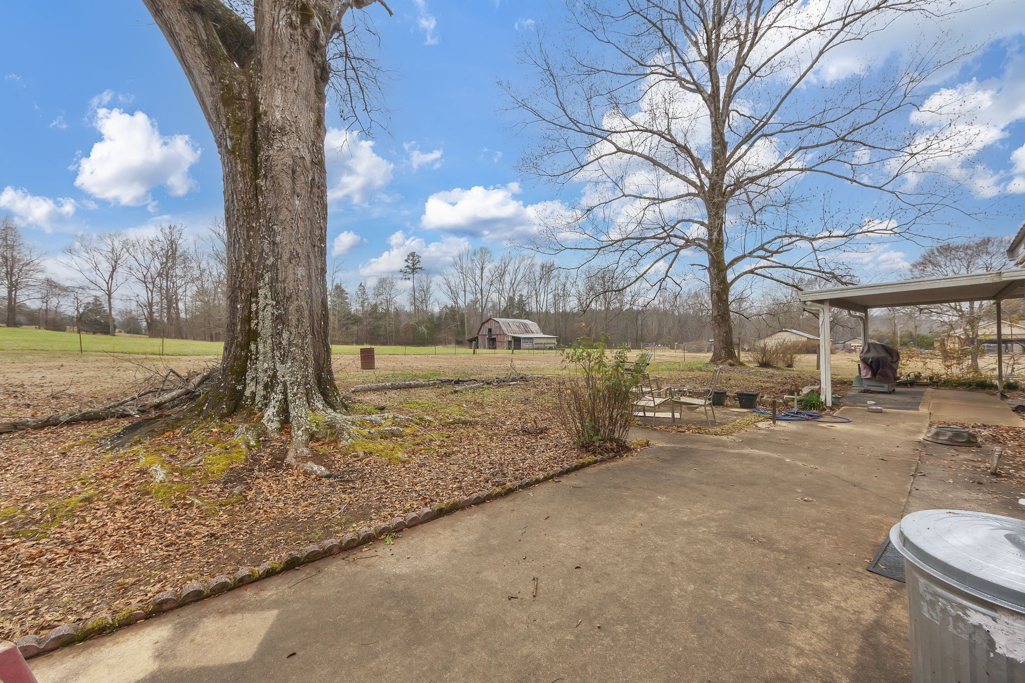 9000 Teague Road Medon, TN 38356 - Photo 18 of 22 a view of a yard with a tree