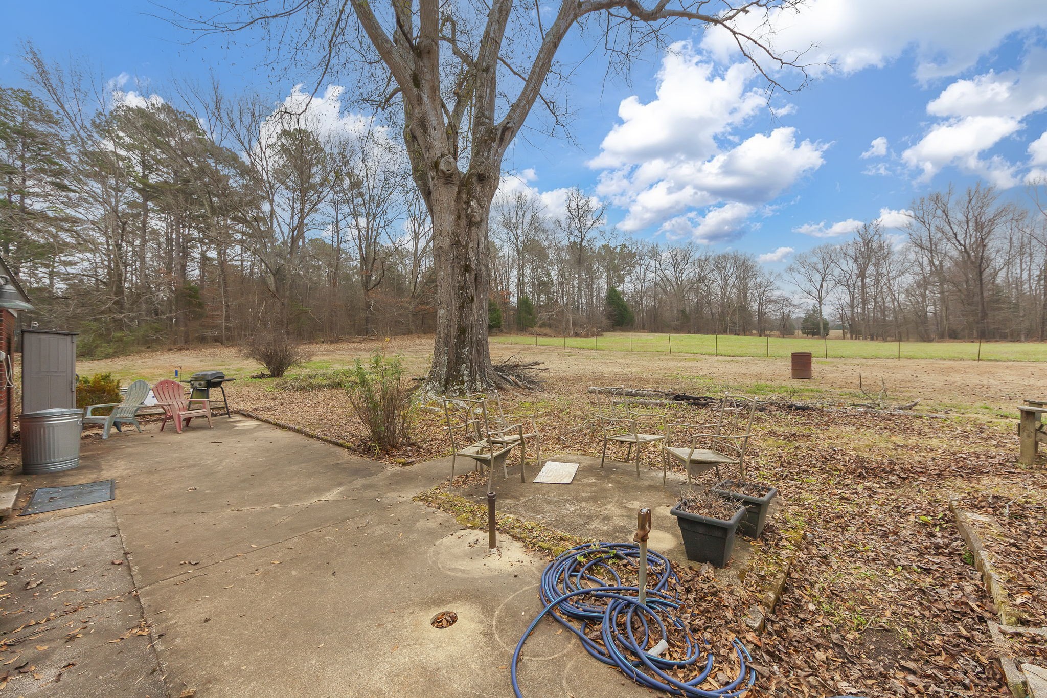 9000 Teague Road Medon, TN 38356 - Photo 19 of 22 a view of a yard with an trees