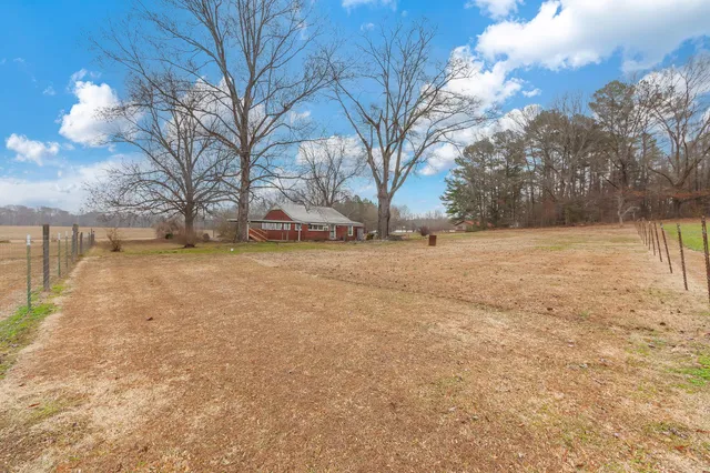 a view of yard with green space