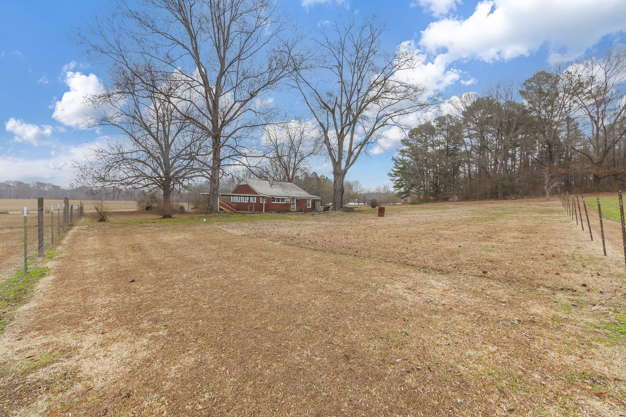 9000 Teague Road Medon, TN 38356 - Photo 20 of 22 a view of yard with trees