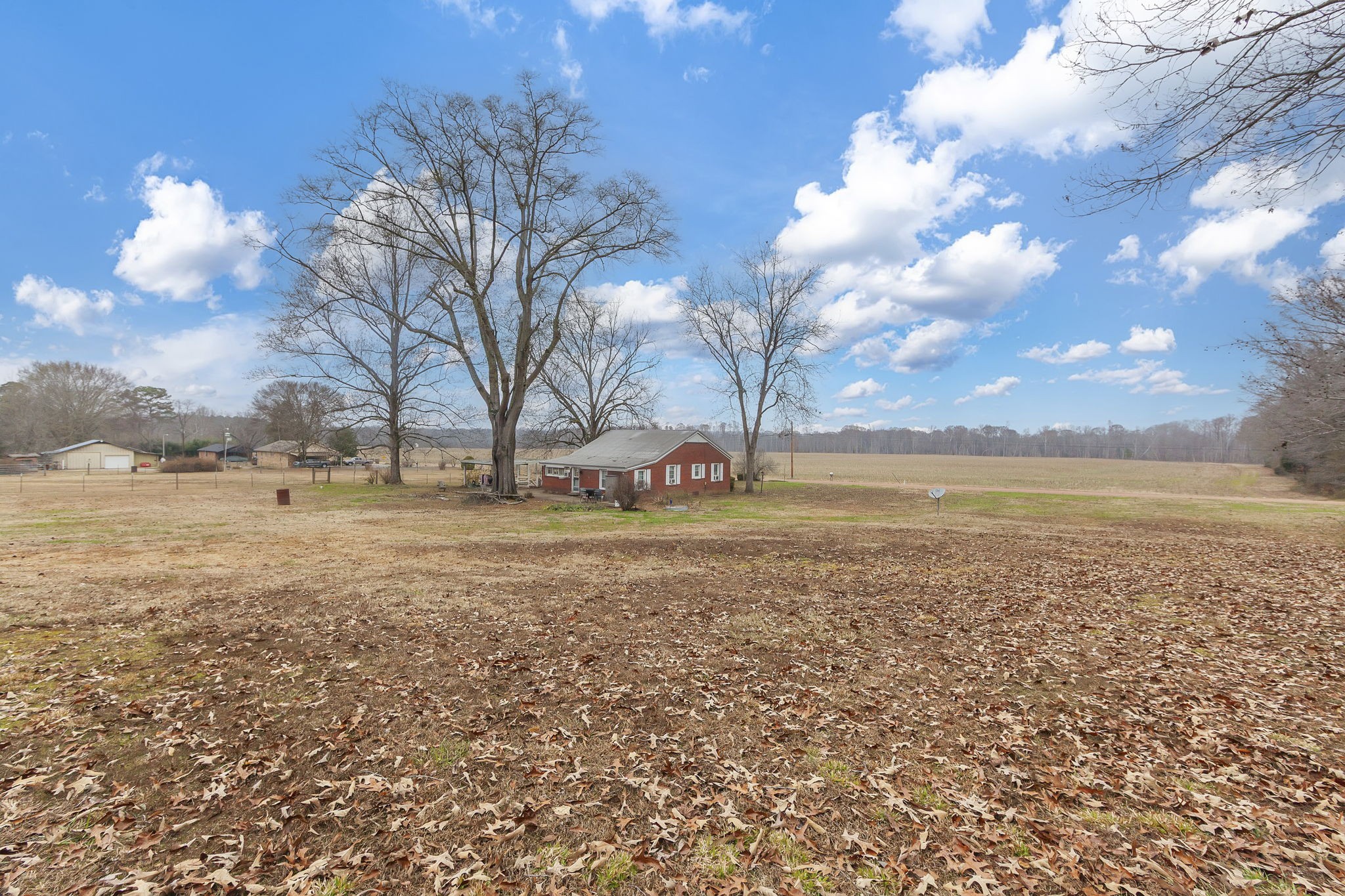 9000 Teague Road Medon, TN 38356 - Photo 22 of 22 a view of yard with green space