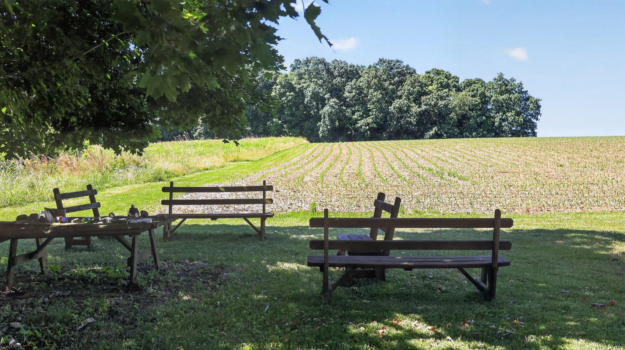 8042 Bobs Road Felton, PA 17322 - Photo 29 of 47 Picnic area, facing west