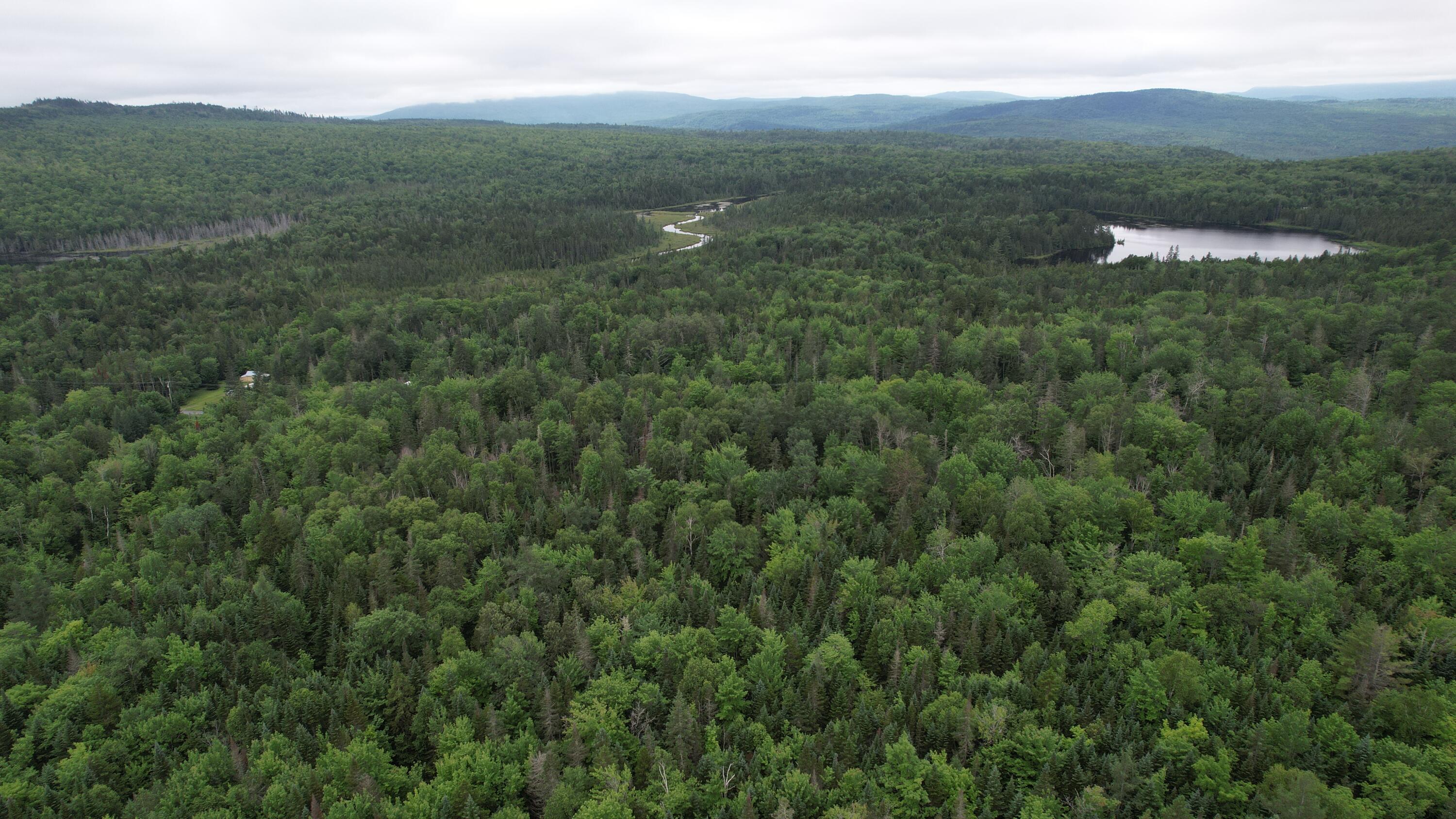 29-1 Route 15 Road Shirley Mills, ME 04485 - Photo 5 of 17 EF1A6BC0-C497-4C13-A847-0AF2B3A0F615
