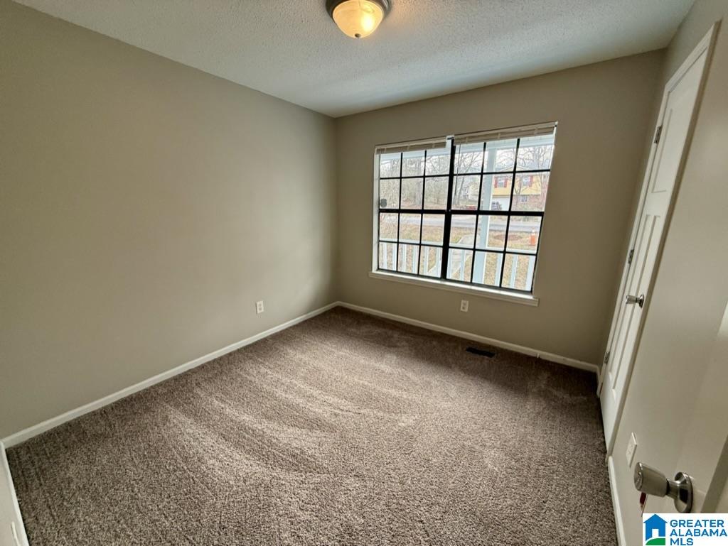 6602 Davison Road Pinson, AL 35126 - Photo 14 of 18