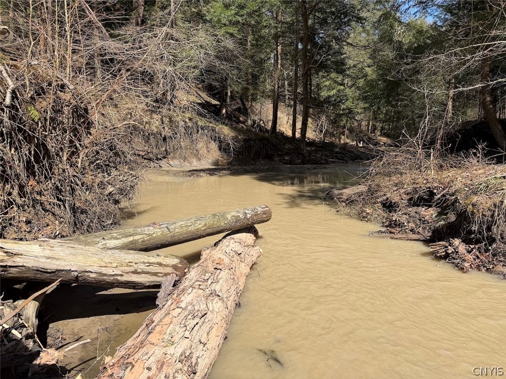 Broadway Road Gowanda, NY 14070 - Photo 1 of 31