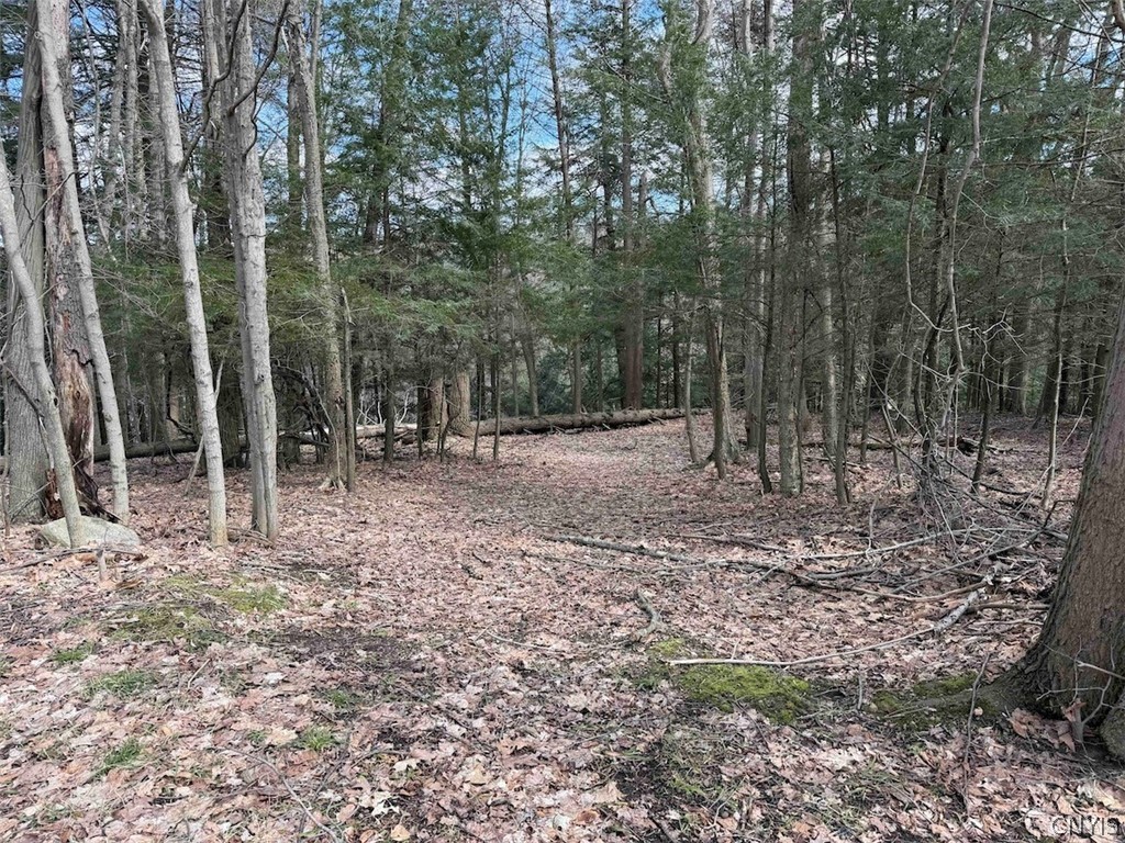 Broadway Road Gowanda, NY 14070 - Photo 11 of 31