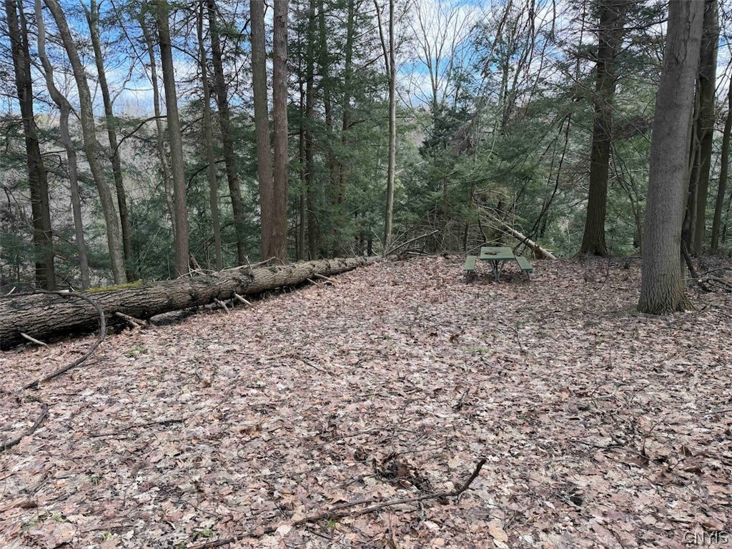 Broadway Road Gowanda, NY 14070 - Photo 12 of 31