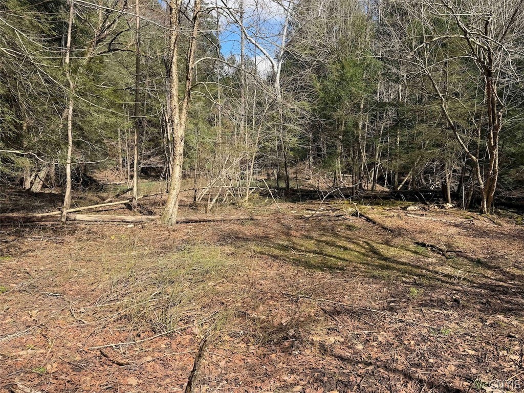 Broadway Road Gowanda, NY 14070 - Photo 14 of 31