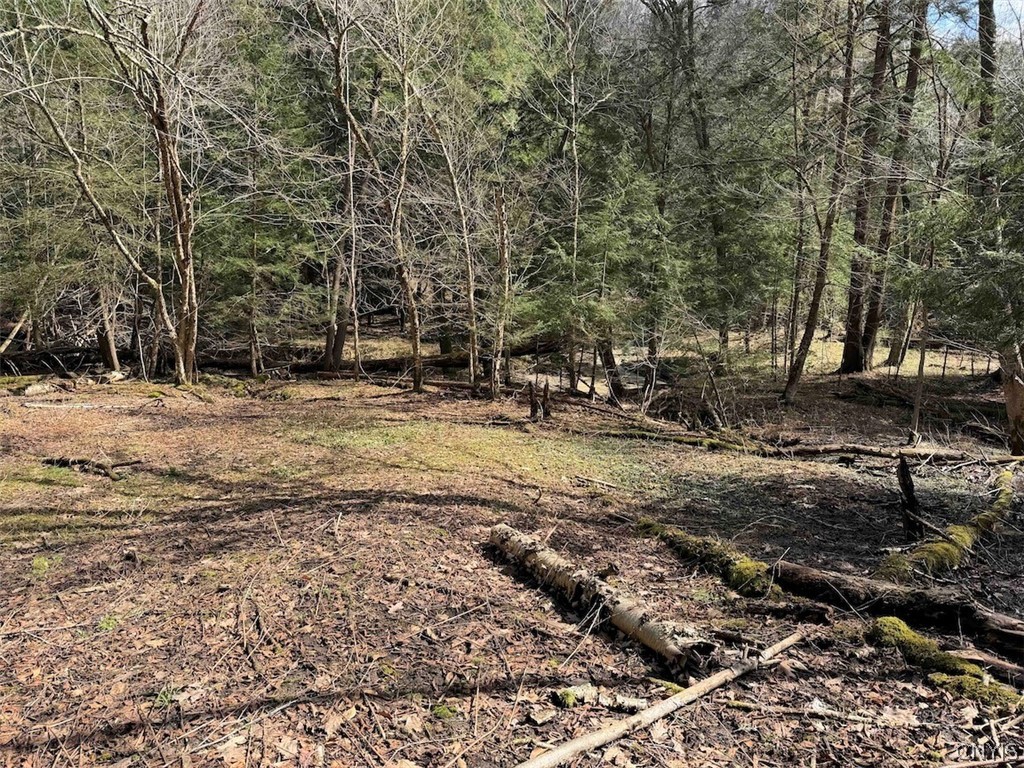 Broadway Road Gowanda, NY 14070 - Photo 15 of 31