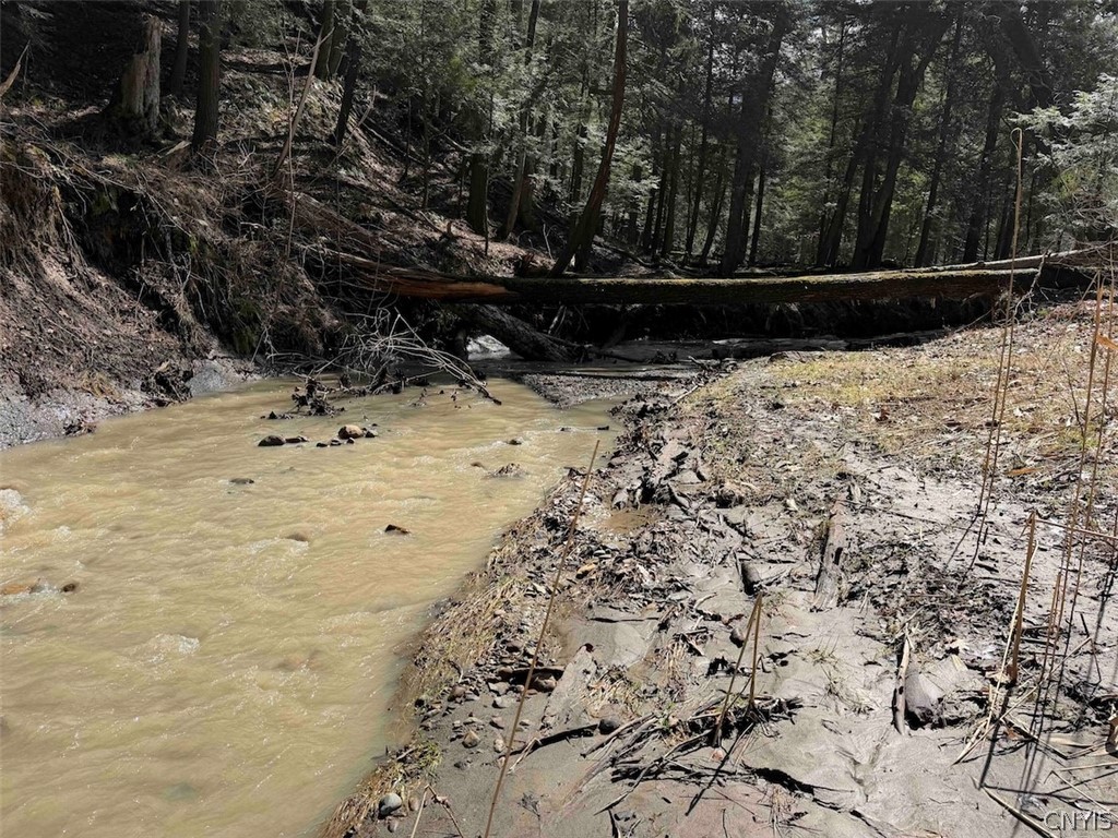 Broadway Road Gowanda, NY 14070 - Photo 17 of 31