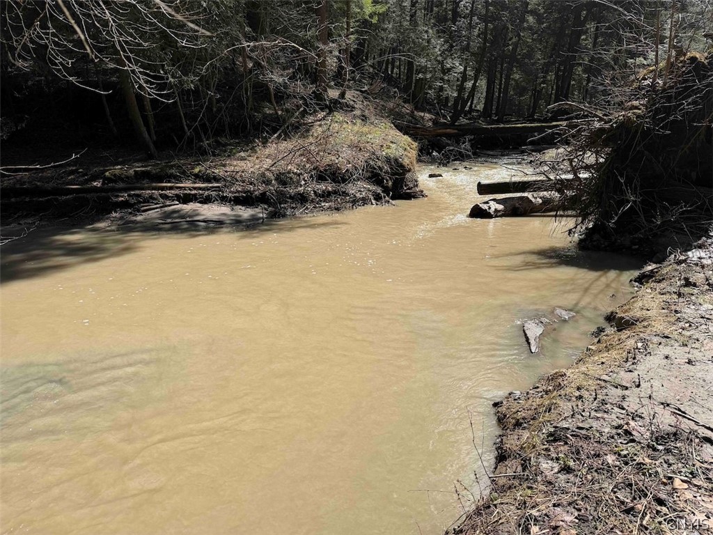 Broadway Road Gowanda, NY 14070 - Photo 18 of 31