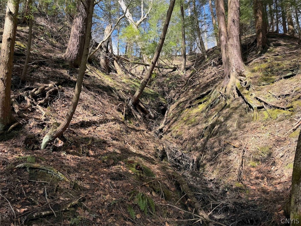 Broadway Road Gowanda, NY 14070 - Photo 19 of 31