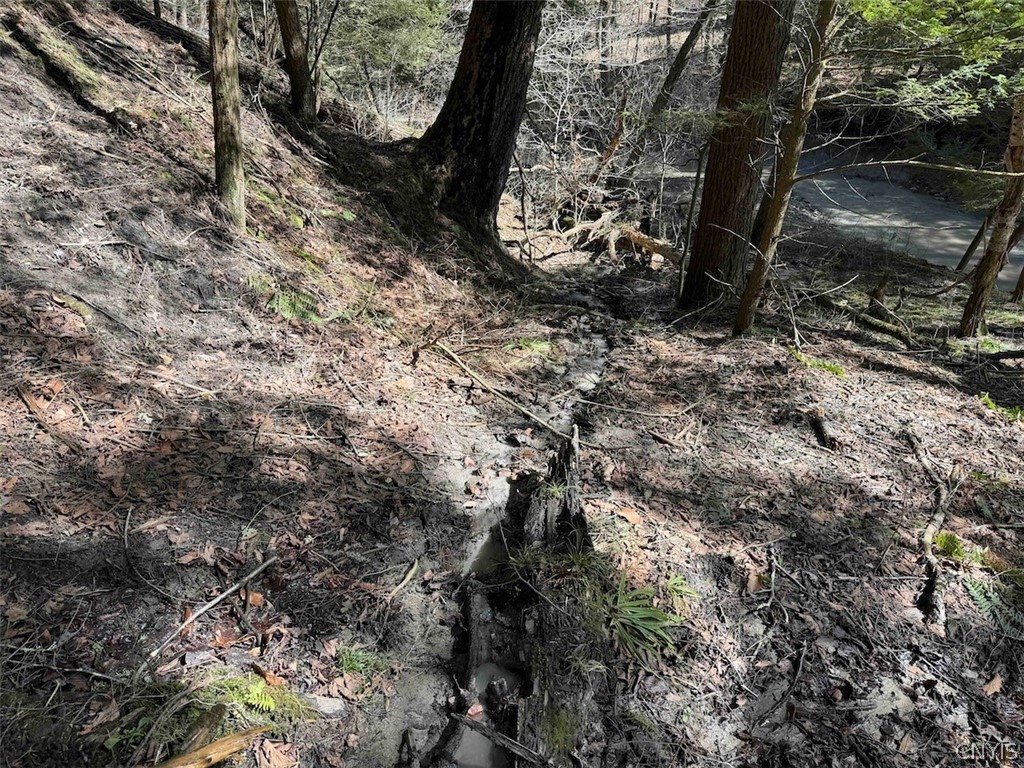 Broadway Road Gowanda, NY 14070 - Photo 20 of 31