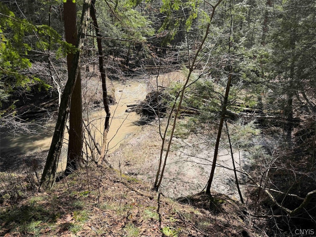 Broadway Road Gowanda, NY 14070 - Photo 21 of 31