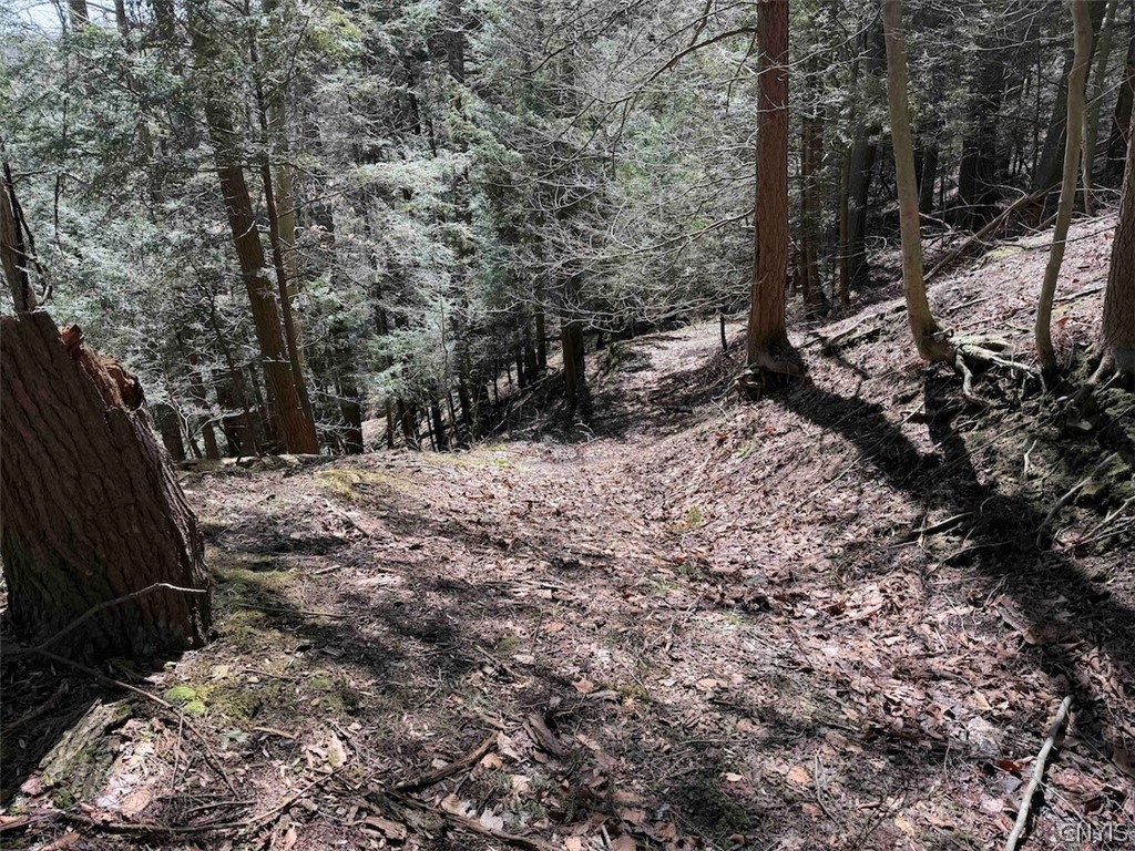 Broadway Road Gowanda, NY 14070 - Photo 22 of 31