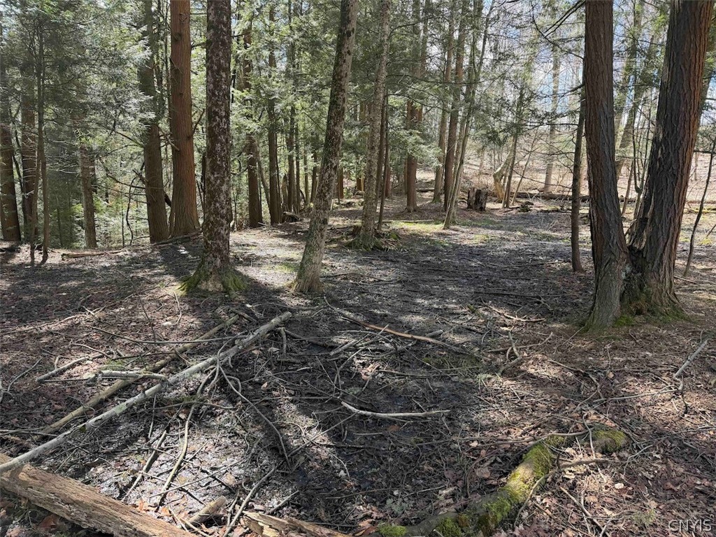 Broadway Road Gowanda, NY 14070 - Photo 23 of 31