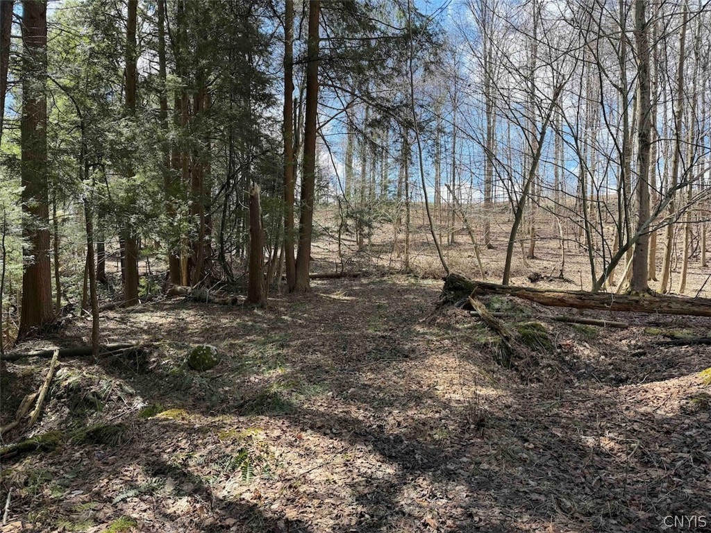 Broadway Road Gowanda, NY 14070 - Photo 24 of 31