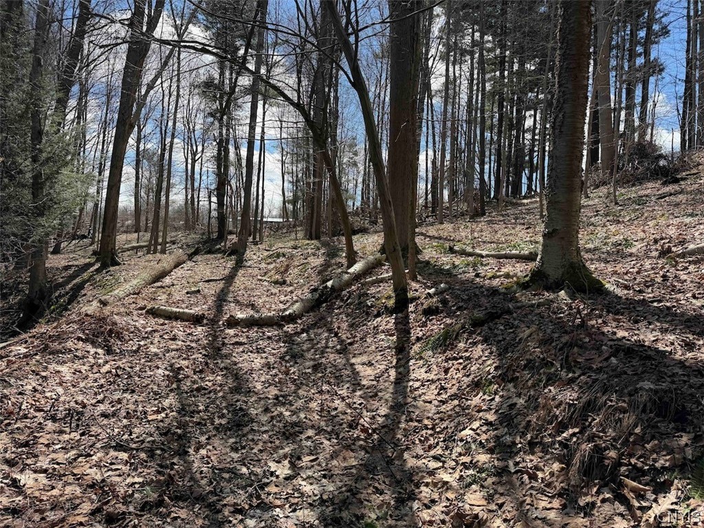 Broadway Road Gowanda, NY 14070 - Photo 26 of 31