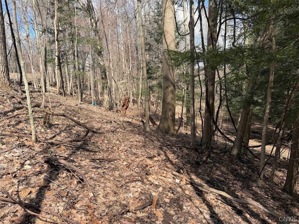 Broadway Road Gowanda, NY 14070 - Photo 27 of 31