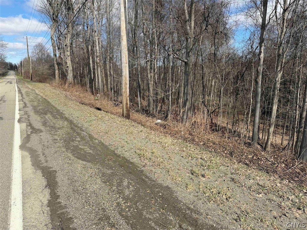 Broadway Road Gowanda, NY 14070 - Photo 28 of 31